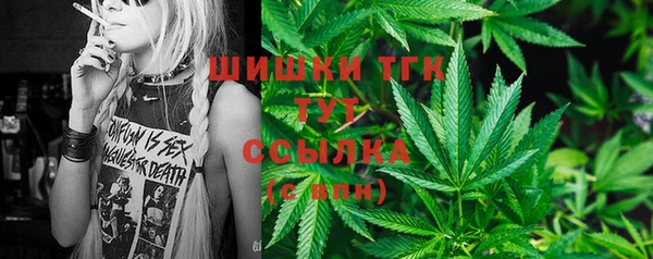 дживик Алзамай