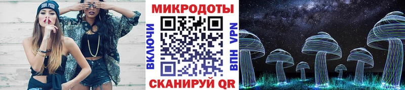 Псилоцибиновые грибы Psilocybine cubensis  Качканар 